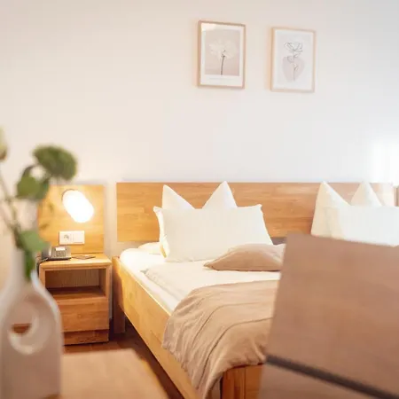 Отель Bio-hotel Melter 3*