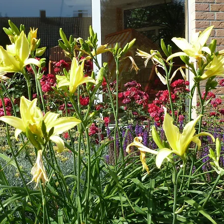 Hotel Bio-hotel Melter